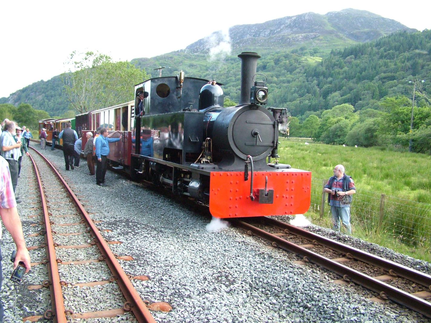 Gelert & train at Hafod y Llyn