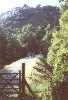 embankment in woody glade, blocked by a gate