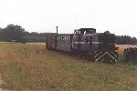 large blue diesel with smaller carriages; rails very grassed-over