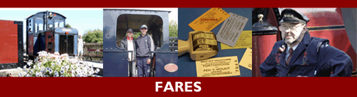 Fares Fares
